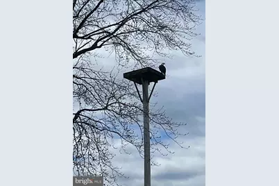 1508 Hambrooks Boulevard, Cambridge, MD 21613 - Photo 35