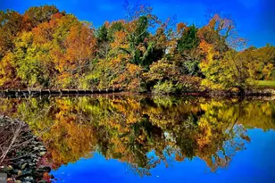 1508 Hambrooks Blvd, Cambridge, MD 21613 - Photo 1