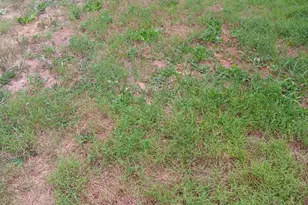 207 Main St, Hurlock, MD 21643 - Photo 1