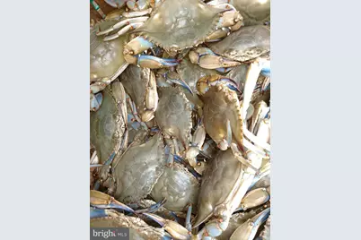 700 Cattail Cove #302, Cambridge, MD 21613 - Photo 37