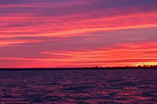 700 Cattail Cv, Cambridge, MD 21613 - Photo 39