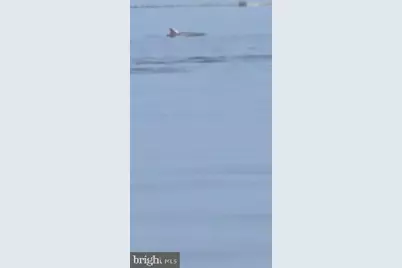 700 Cattail Cove #302, Cambridge, MD 21613 - Photo 27