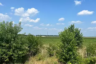 302 Glen Oak Cir, Hurlock, MD 21643 - Photo 35