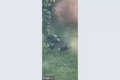 3900 Lewis Ln, Cambridge, MD 21613 - Photo 31