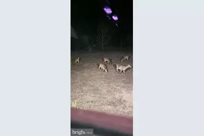 3900 Lewis Ln, Cambridge, MD 21613 - Photo 33