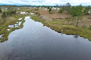 2703 Toddville Rd, Toddville, MD 21672 - Photo 7