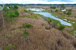 2703 Toddville Rd, Toddville, MD 21672 - Photo 13