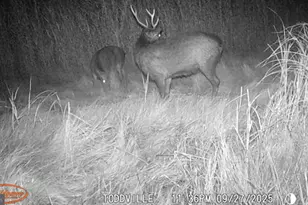 2703 Toddville Rd, Toddville, MD 21672 - Photo 3