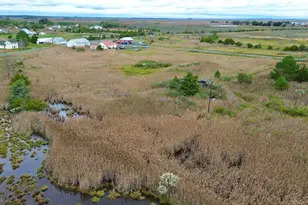 2703 Toddville Rd, Toddville, MD 21672 - Photo 15