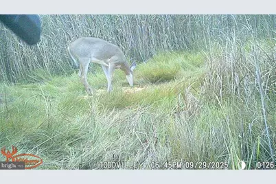 2703 Toddville Road, Toddville, MD 21672 - Photo 25