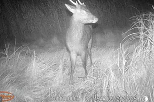 2703 Toddville Rd, Toddville, MD 21672 - Photo 21