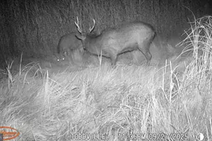 2703 Toddville Rd, Toddville, MD 21672 - Photo 5