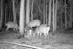 2575 Toddville Rd, Toddville, MD 21672 - Photo 7