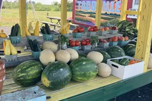 2575 Toddville Rd, Toddville, MD 21672 - Photo 23