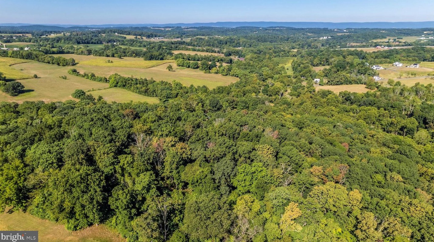 12350 Glissans Mill Rd, Mount Airy MD 21771-8514 exterior