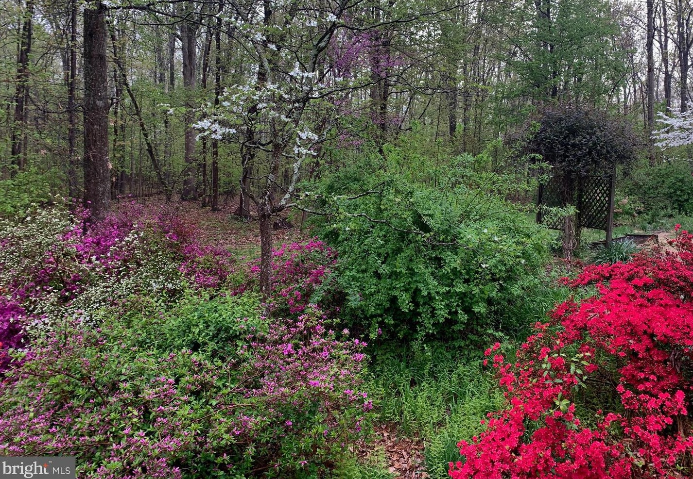 14456 Black Ankle Rd, Mount Airy MD  21771-9122 exterior