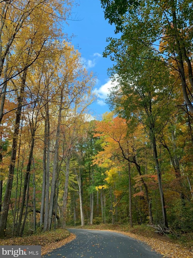 14456 Black Ankle Rd, Mount Airy MD  21771-9122 exterior