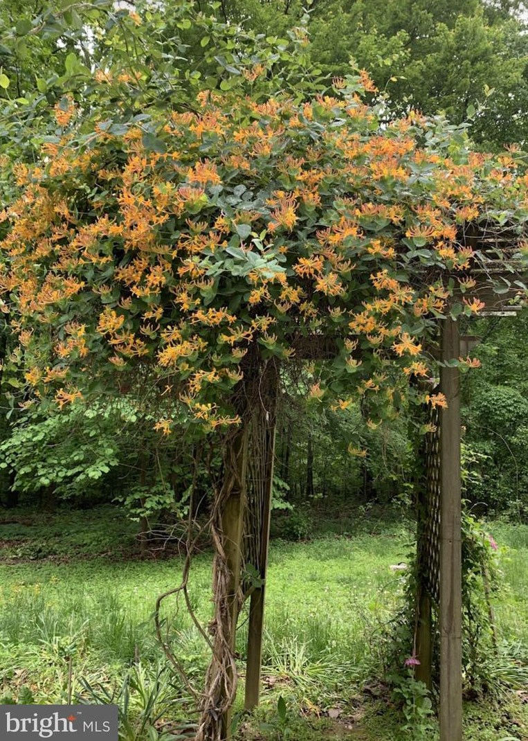 14456 Black Ankle Rd, Mount Airy MD  21771-9122 exterior