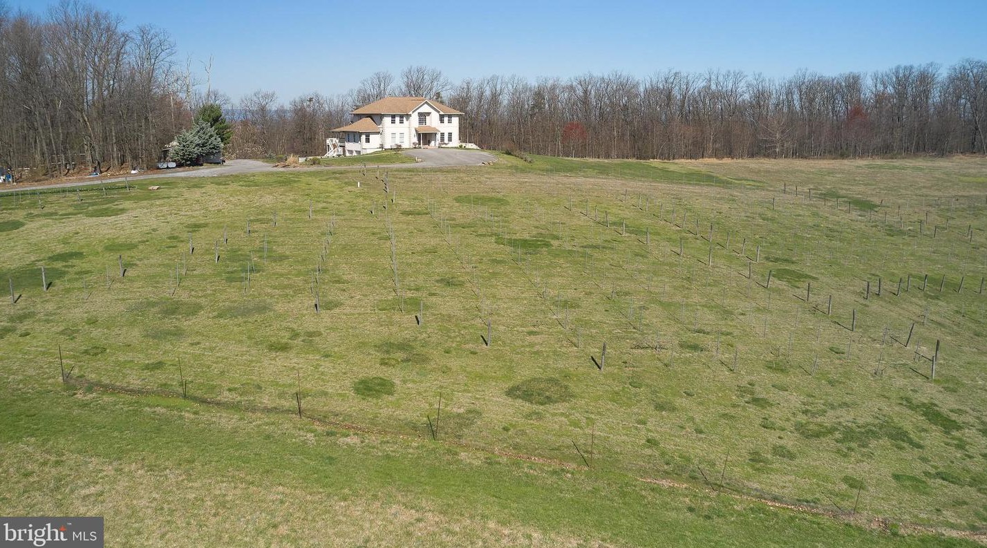 7670 Talbot Run Rd, Mount Airy MD  21771-8402 exterior