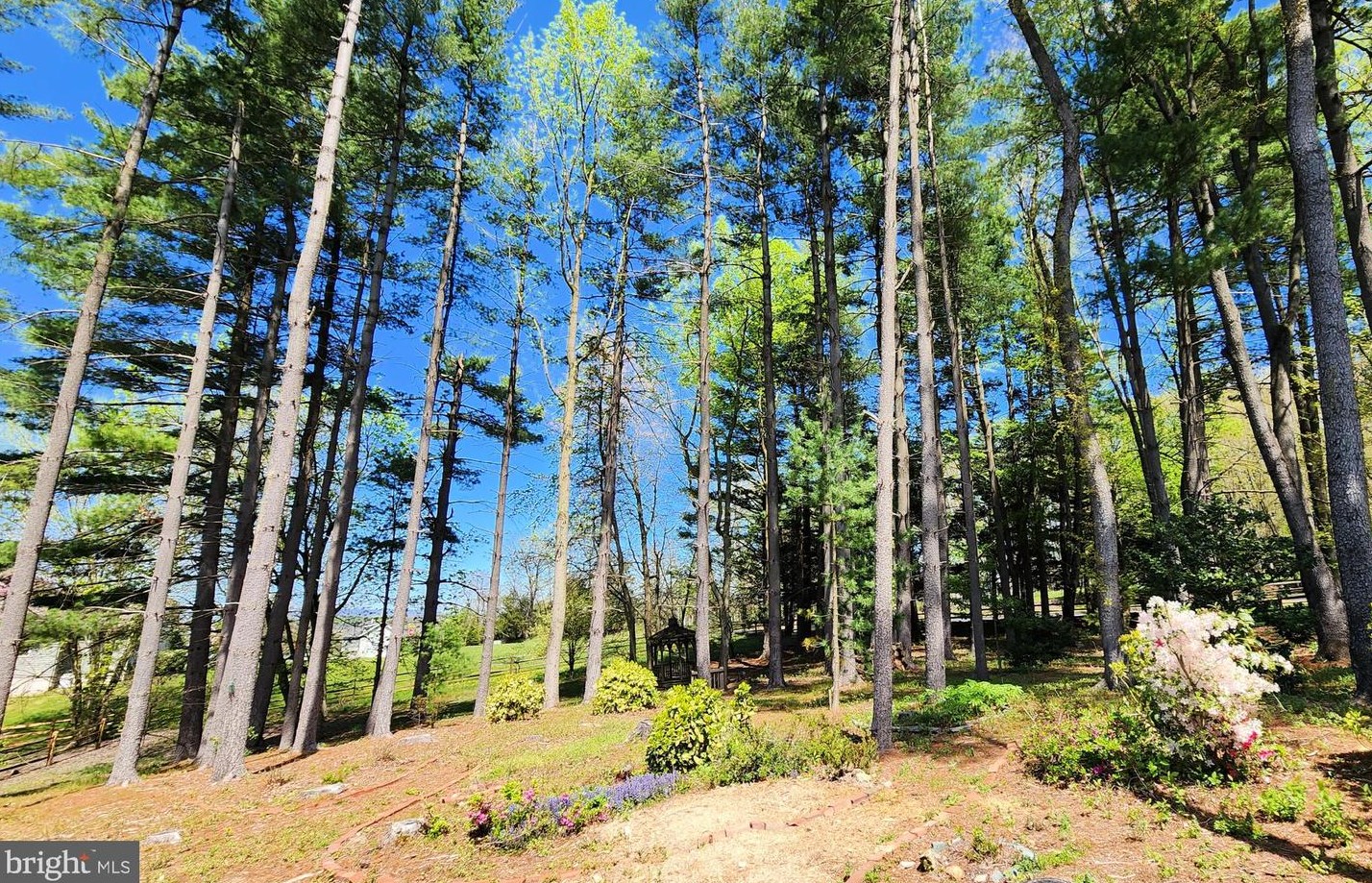 604 Scarlet Oak Ct, Woodsboro MD 21798-8340 exterior