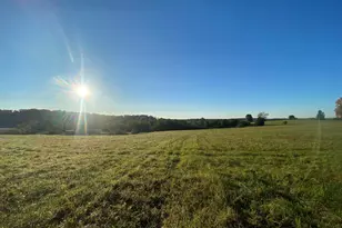 9858 Artemis Ter, Ijamsville, MD 21754 - Photo 5