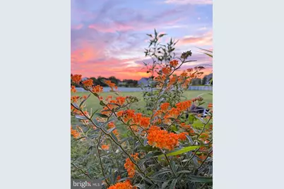 3012 Wasatch View Drive, Frederick, MD 21704 - Photo 49