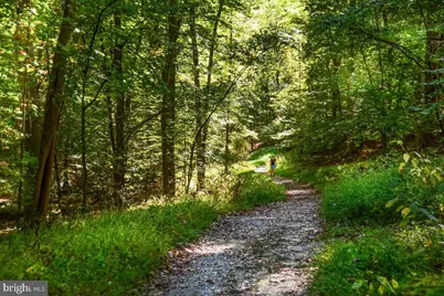 5806 Pecking Stone Street, New Market, MD 21774 - Photo 43