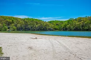 9703 Blandwood Way, New Market, MD 21774 - Photo 95