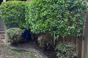 2583 Carrington Way, Frederick, MD 21702 - Photo 55