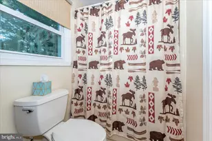 101 Arnold Alley, Woodsboro, MD 21798 - Photo 31