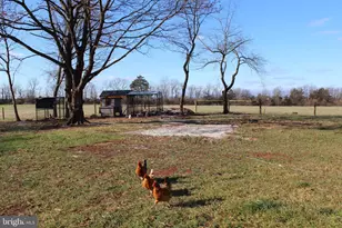 11409 Taneytown Pike, Emmitsburg, MD 21727 - Photo 19