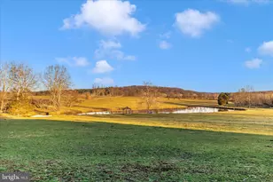 1607 Buckeystown Pike, Adamstown, MD 21710 - Photo 53