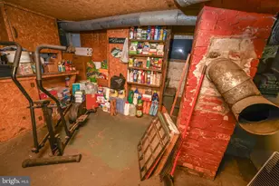 2527 Pigs Ear Rd, Grantsville, MD 21536 - Photo 55