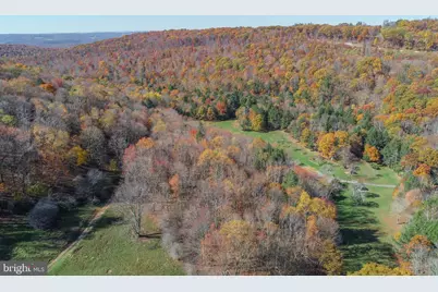 2527 Pigs Ear Road, Grantsville, MD 21536 - Photo 91