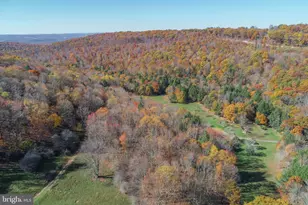 2527 Pigs Ear Rd, Grantsville, MD 21536 - Photo 91