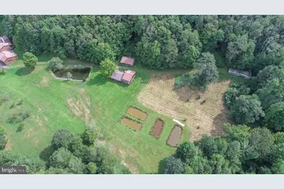 2527 Pigs Ear Road, Grantsville, MD 21536 - Photo 77