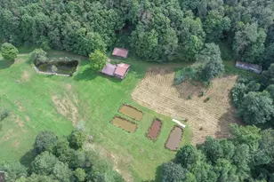 2527 Pigs Ear Rd, Grantsville, MD 21536 - Photo 77