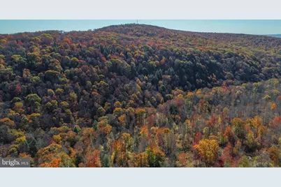 2527 Pigs Ear Road, Grantsville, MD 21536 - Photo 87