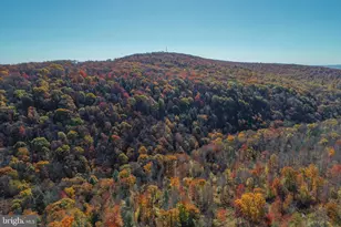 2527 Pigs Ear Rd, Grantsville, MD 21536 - Photo 87