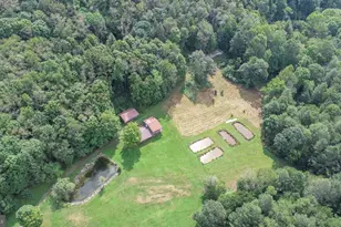 2527 Pigs Ear Rd, Grantsville, MD 21536 - Photo 83