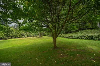 2527 Pigs Ear Road, Grantsville, MD 21536 - Photo 39