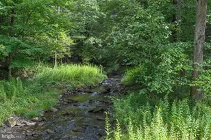 2527 Pigs Ear Rd, Grantsville, MD 21536 - Photo 75