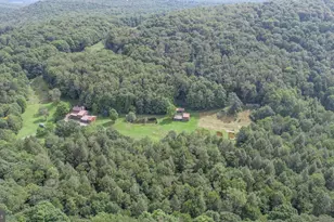 2527 Pigs Ear Rd, Grantsville, MD 21536 - Photo 85