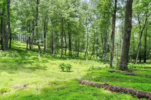 1240 Boy Scout Rd, Oakland, MD 21550 - Photo 127