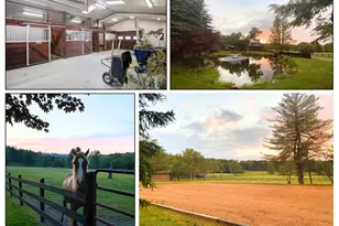 1240 Boy Scout Rd, Oakland, MD 21550 - Photo 143