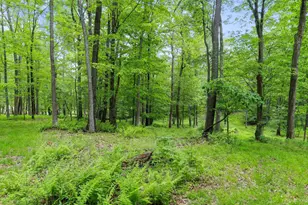 1240 Boy Scout Rd, Oakland, MD 21550 - Photo 125