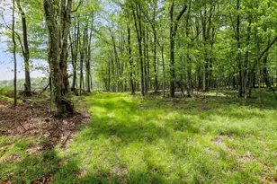 1240 Boy Scout Rd, Oakland, MD 21550 - Photo 109