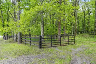 1240 Boy Scout Rd, Oakland, MD 21550 - Photo 131