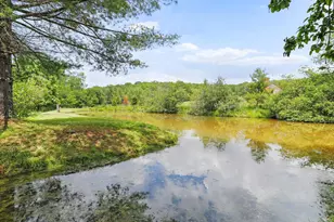 1240 Boy Scout Rd, Oakland, MD 21550 - Photo 9