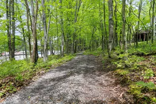 1240 Boy Scout Rd, Oakland, MD 21550 - Photo 135